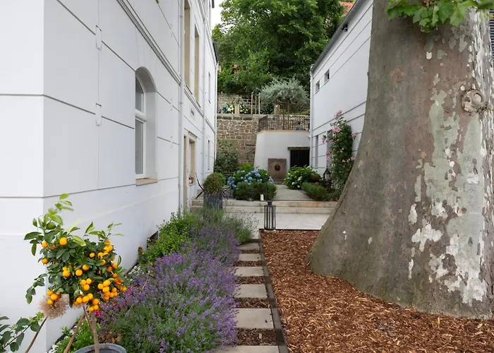 Atelierhaus In Dresden Loschwitz